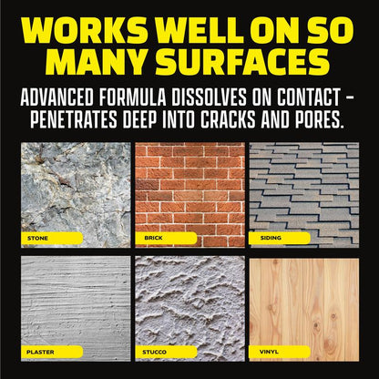 🧽 Every Home Needs This 🏠 Mildew Cleaner Foam