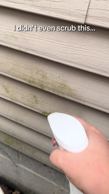 🧽 Every Home Needs This 🏠 Mildew Cleaner Foam