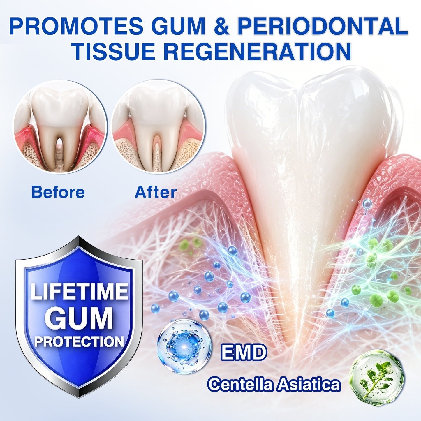Gum tissue education graphic