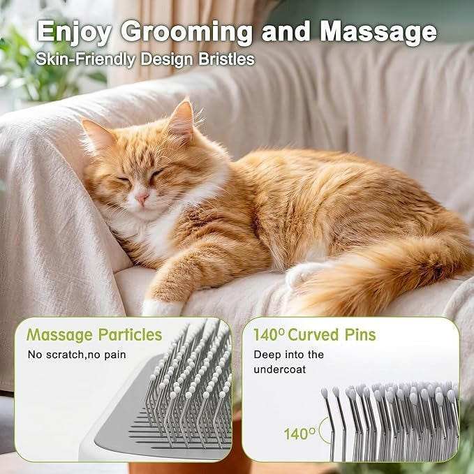 Pet Steam Brush, 3-in-1 Cat and Dog