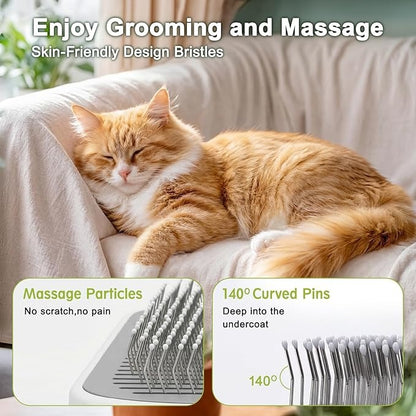 Pet Steam Brush, 3-in-1 Cat and Dog