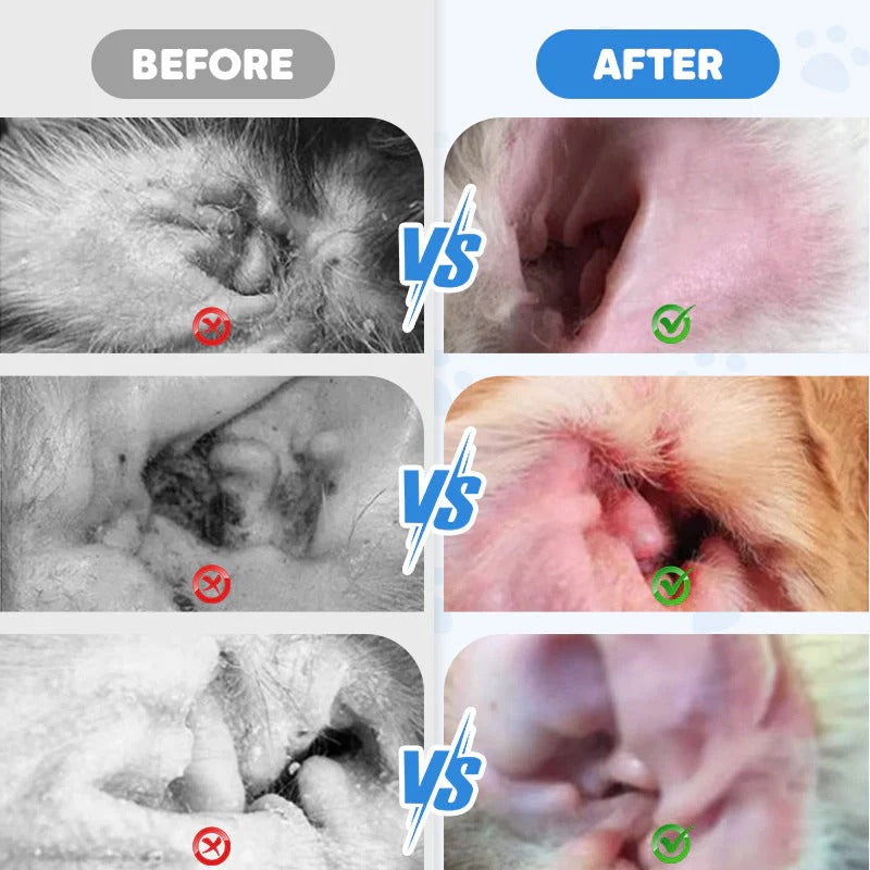 🐾 BUY 2 GET 1 FREE! ✨ Pet Ear Cleaner - Gentle Formula with Soothing Aloe for Dogs & Cats, Prevents Infections & Odor
