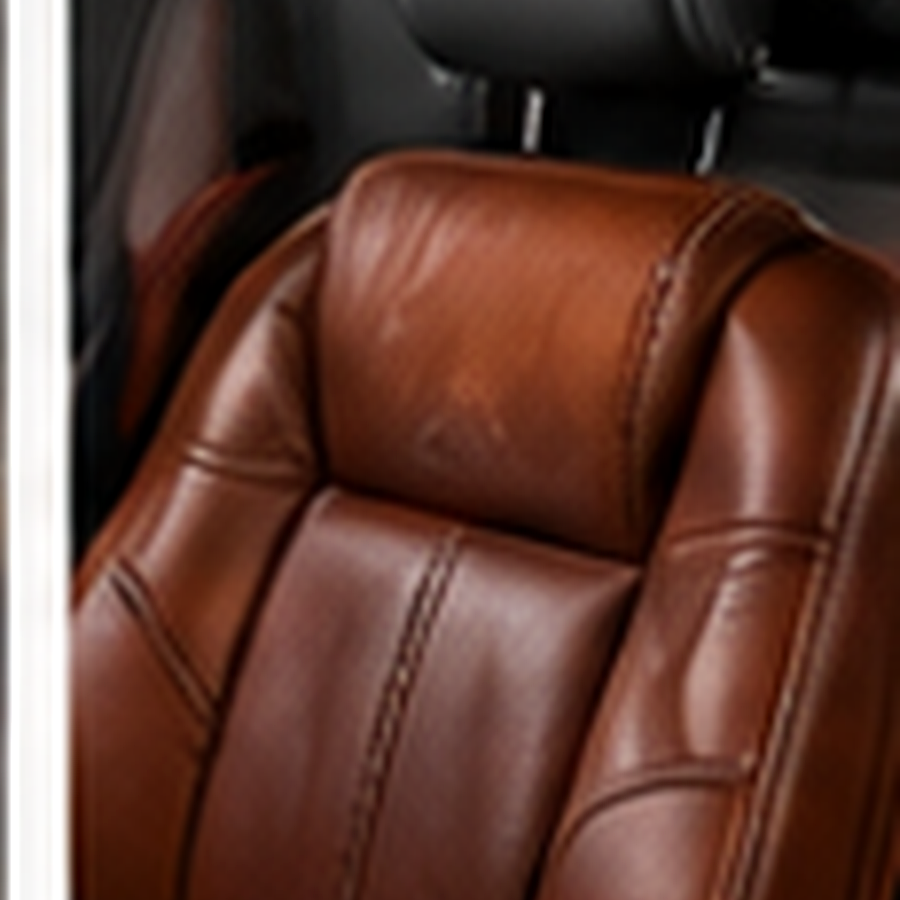 Leather car interior